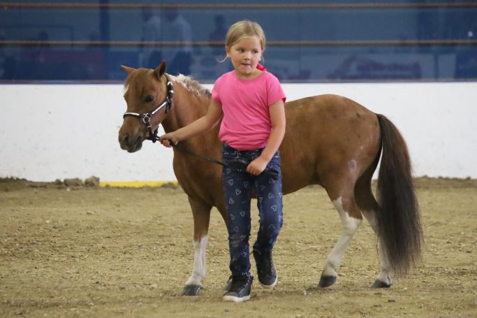 2022 Brookings Show