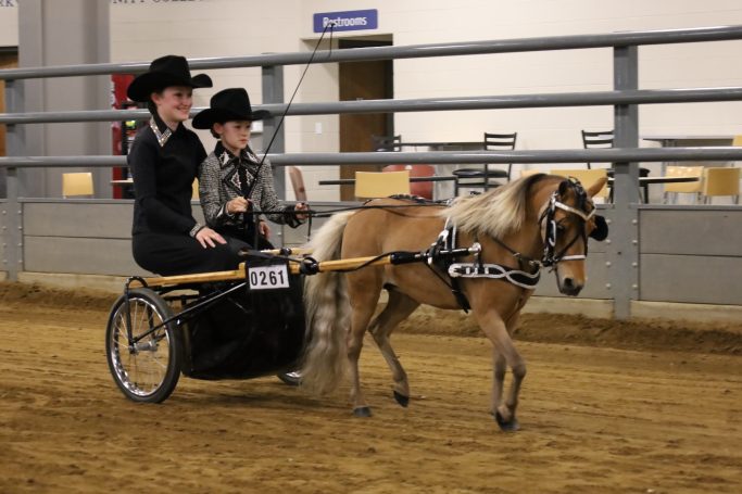 2024 All-American Show--Sunday PM Driving