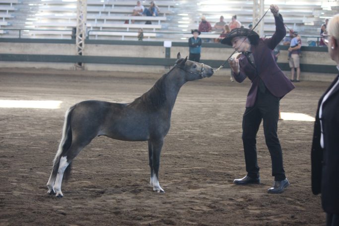 2021 IOWA STATE FAIR Show